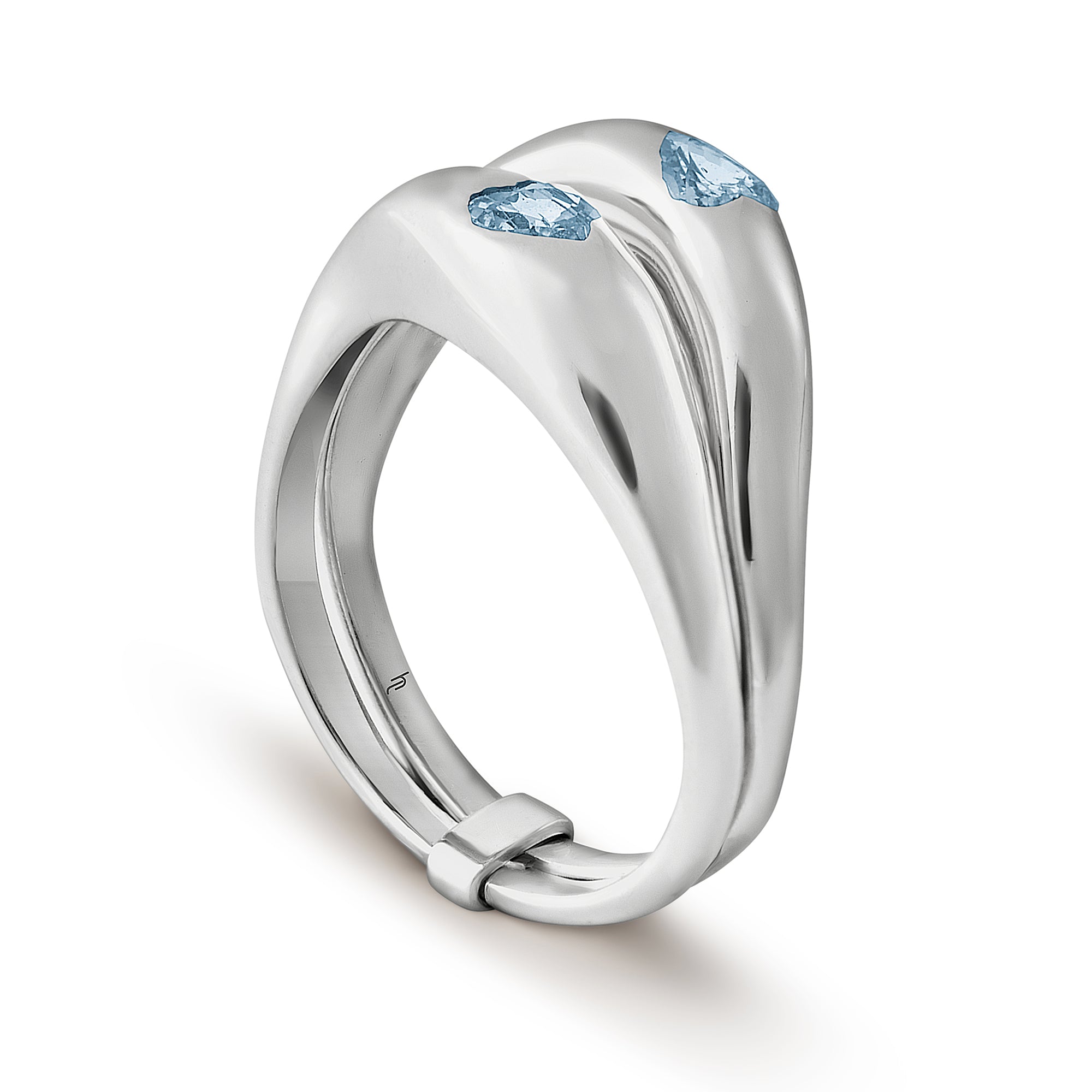 Double Love with Aquamarine Hearts image 1